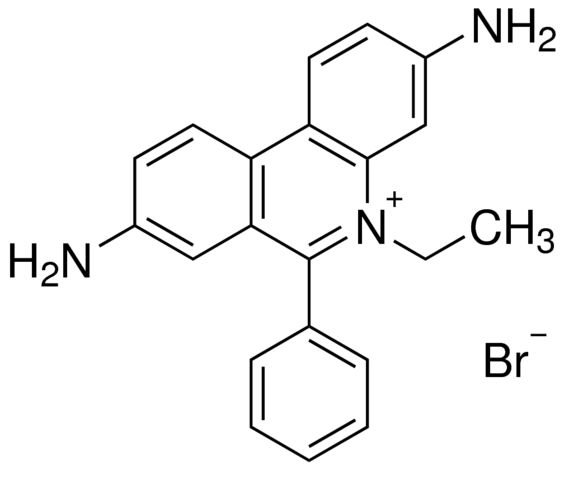 溴化乙啶/1239-45-8分子结构式
