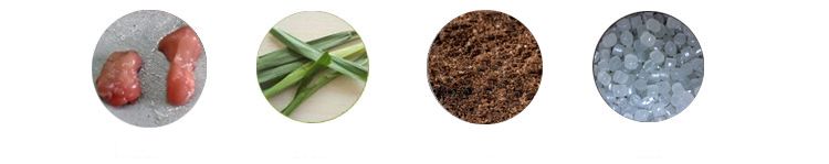 高通量组织研磨仪用途 