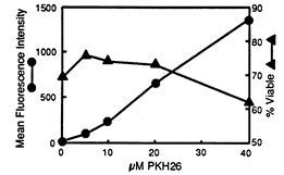 1532582110760210.png 1.png