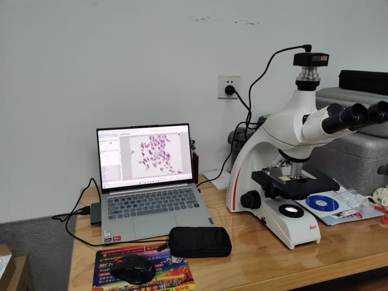 德国Leica显微镜  DM500生物显微镜 重庆徕卡显微镜示例图6