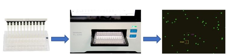 微信截图_20240126143244 微信截图_20240126143244