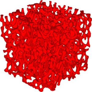 FoamGeo闭开孔泡沫和海绵结构建模模块(图3)