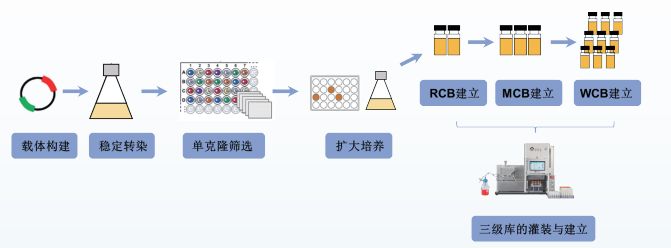 微信截图_20240627101831 微信截图_20240627101831