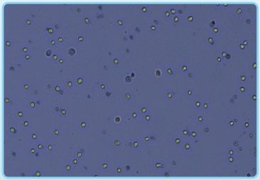 微信截图_20240729140537 微信截图_20240729140537