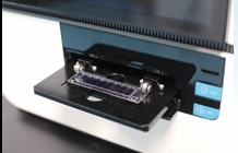 图片.png 图片.png