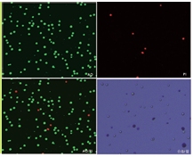 图片.png 图片.png