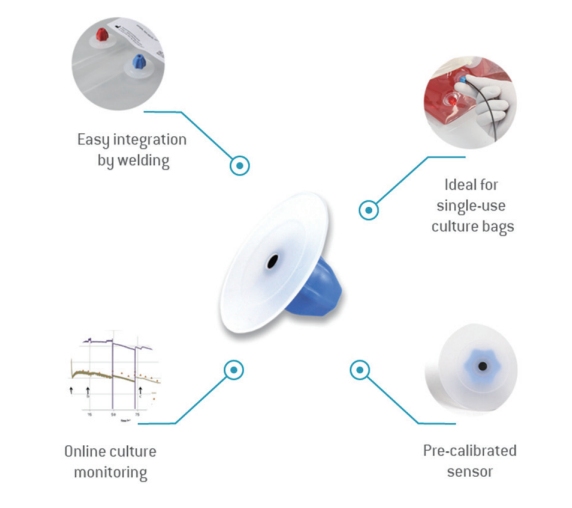 微信截图_20240312112016 微信截图_20240312112016