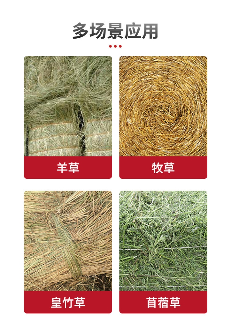 青岛拓科 MS300H 牧草水分测定仪详情图2